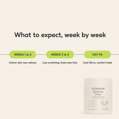 QuietPaw - Skin & Itch Daily Chew