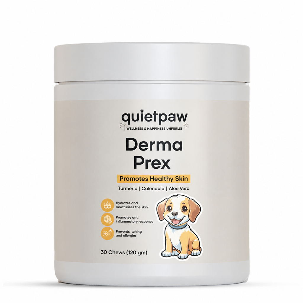 QuietPaw - Skin & Itch Daily Chew