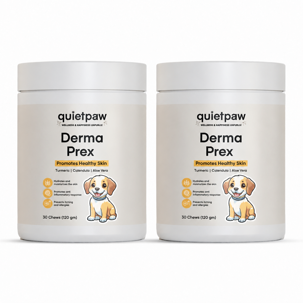QuietPaw - Skin & Itch Daily Chew