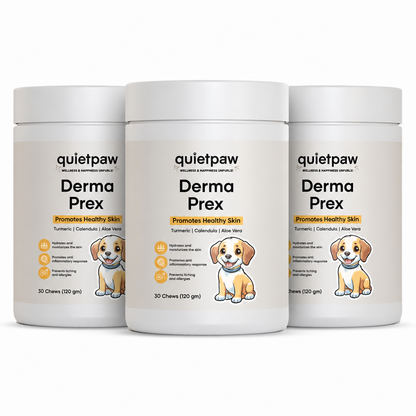 QuietPaw - Skin & Itch Daily Chew